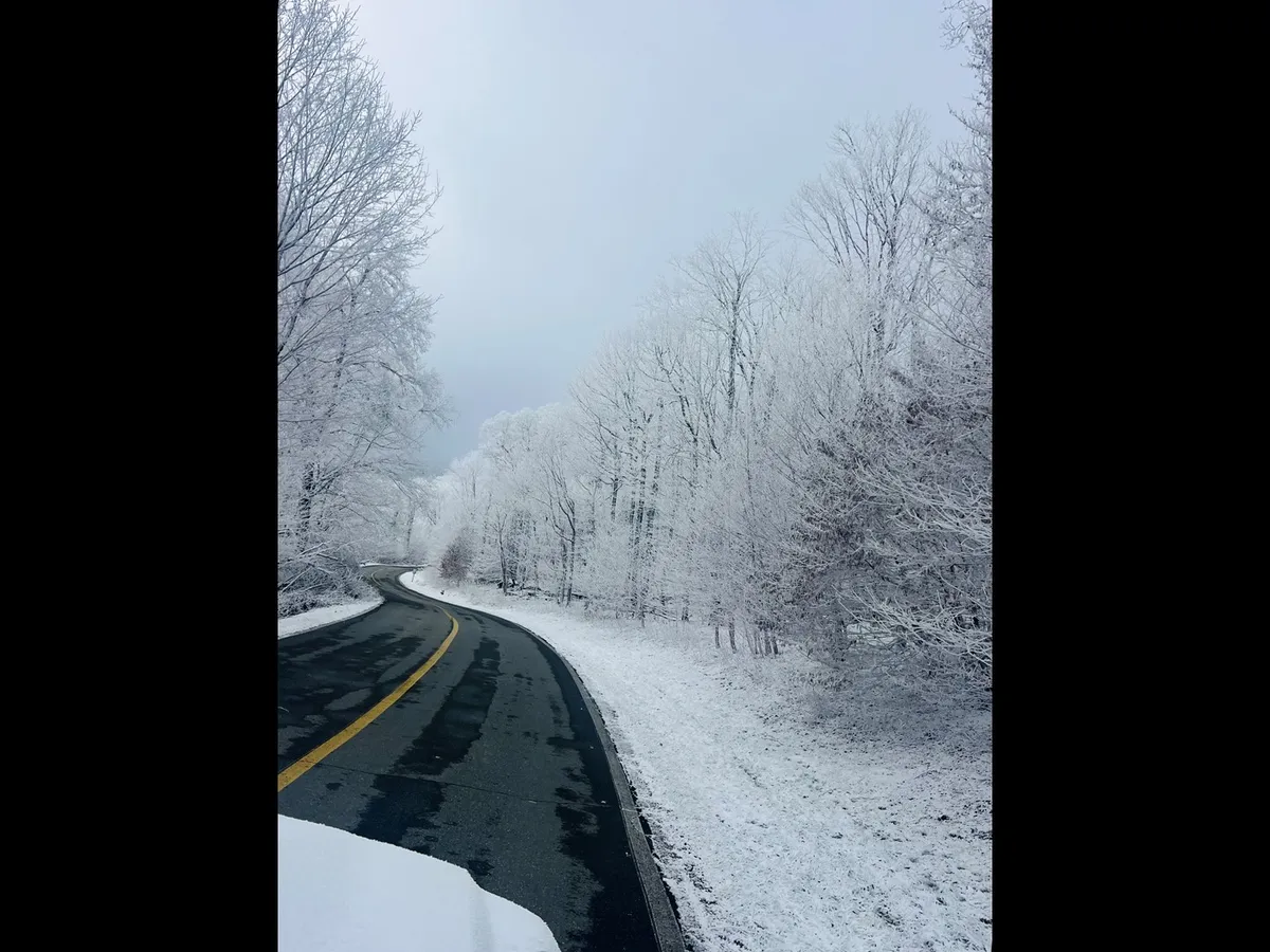 A scenic exterior shot of a curving road flanked by snow-covered trees under a cloudy winter sky. The peaceful scene invites thoughts of scenic drives, walks, and safe arrivals, reinforcing the magical winter setting described in the section.